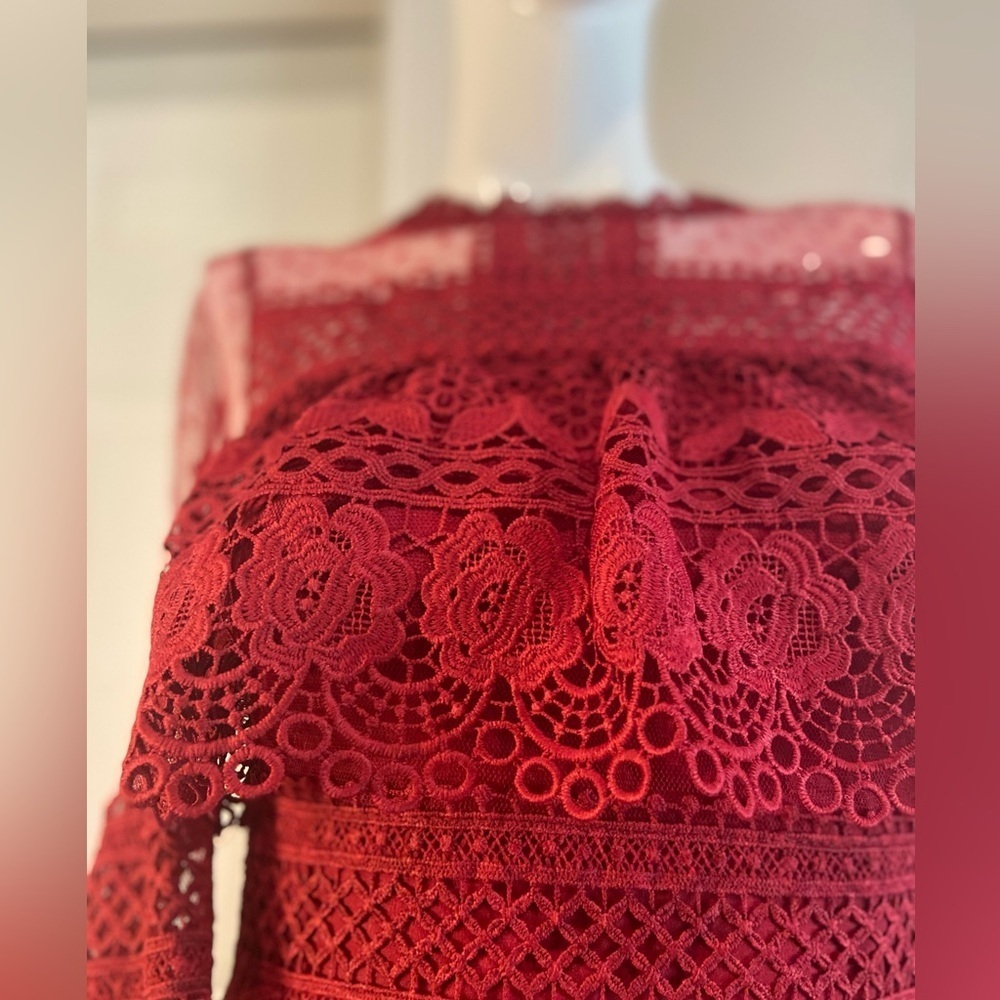 L & F~NWT~Lovely~Tiered Ruffle~Sheer Netting~Embroidered Lace~Mini Dress~Size S - Picture 3 of 15